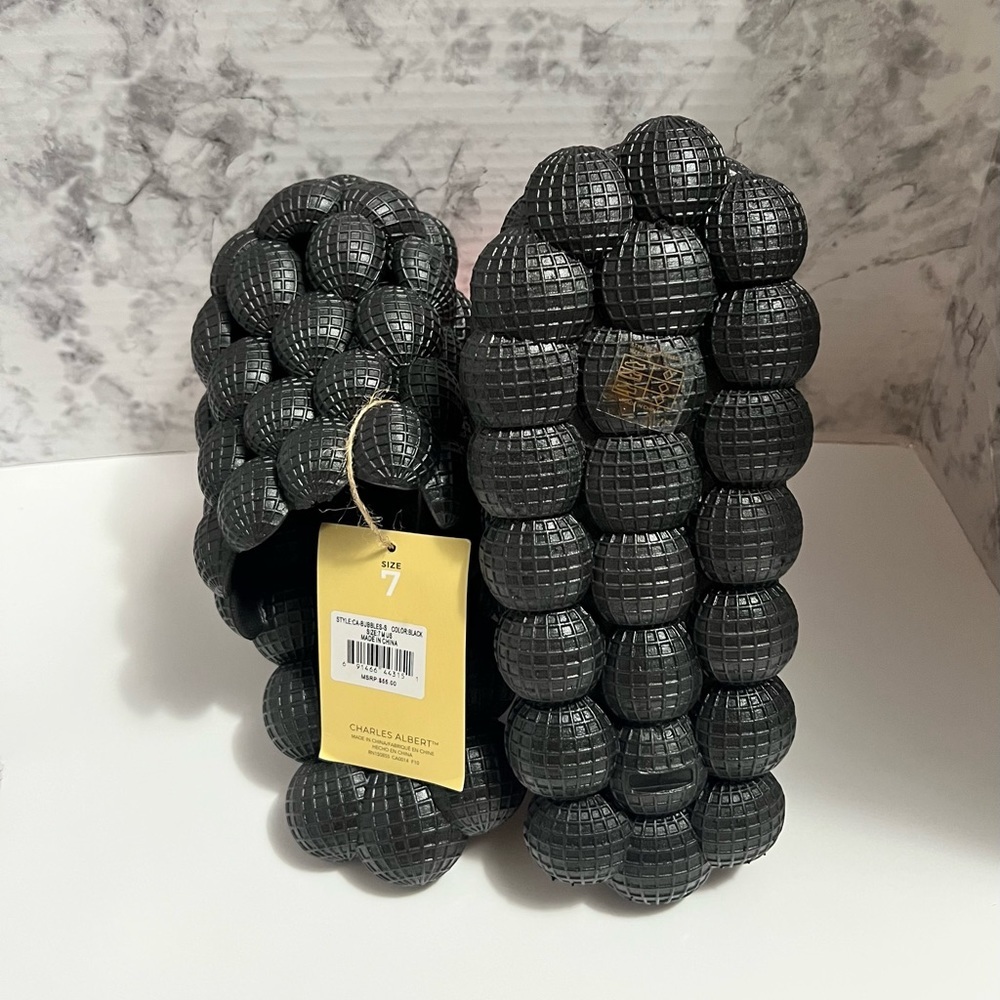 Charles Albert Slides - image 3